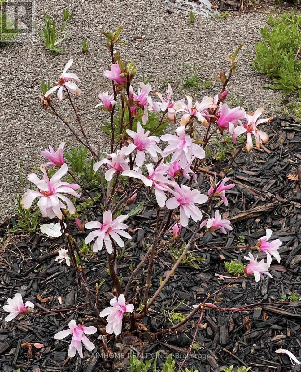 73 Sunset Terrace, Vaughan, Ontario  L4H 4S2 - Photo 11 - N12938648