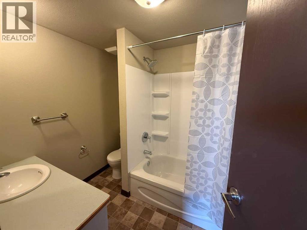 50-300 Roseglen Close, Rosemary, Alberta  T0J 2W0 - Photo 7 - A2297006