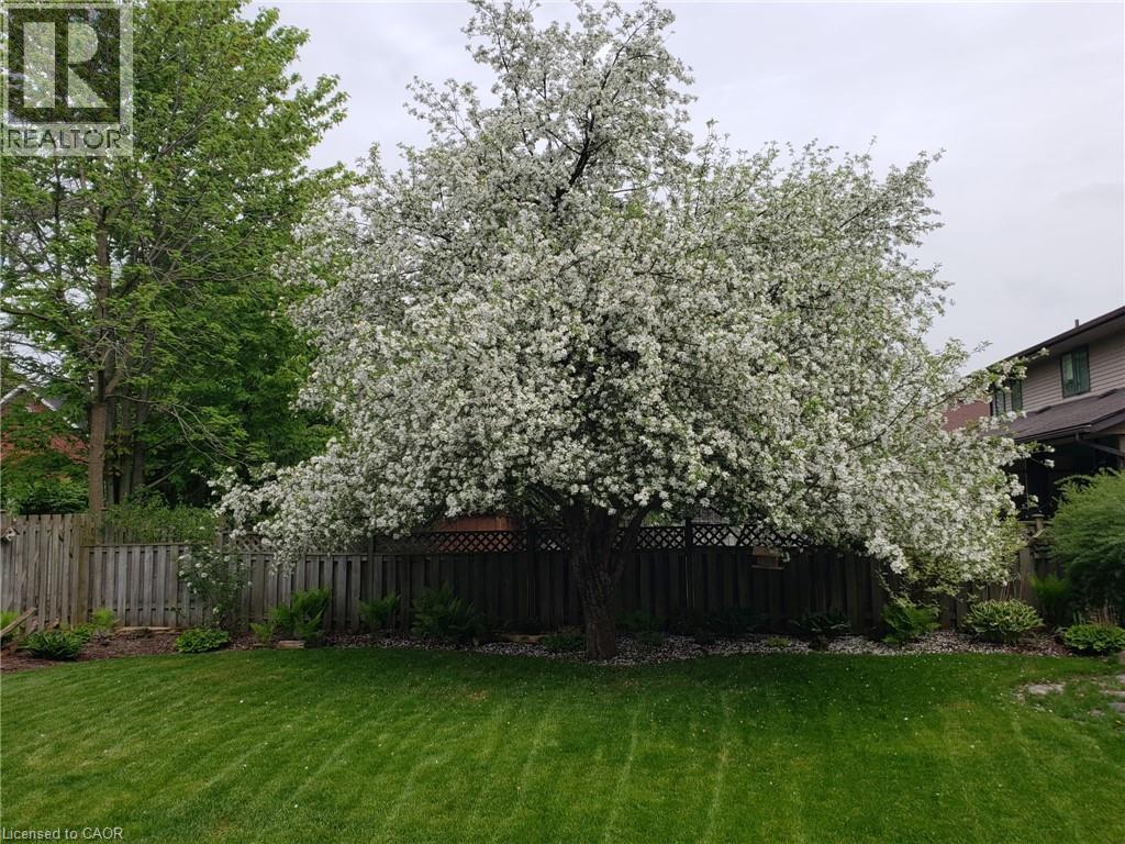 594 Hunters Place, Waterloo, Ontario  N2K 3L3 - Photo 41 - 40816054