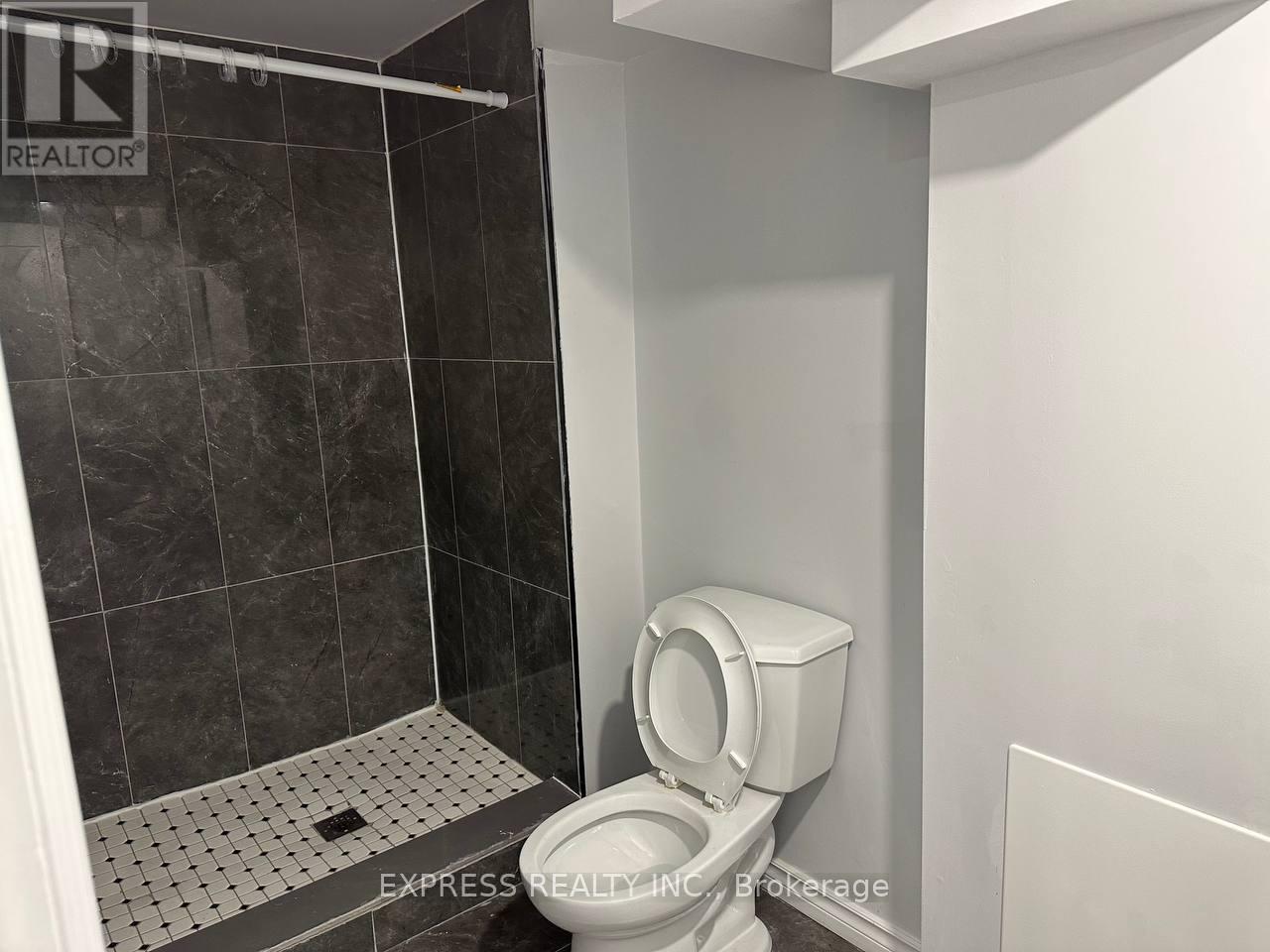 Basement - 10 Audubon Street, Whitby, Ontario  L1P 0C4 - Photo 15 - E12939256