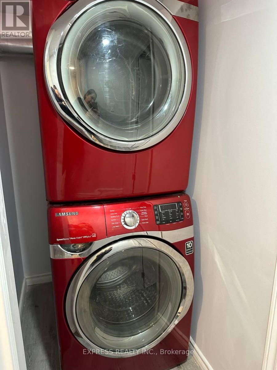 Basement - 10 Audubon Street, Whitby, Ontario  L1P 0C4 - Photo 16 - E12939256