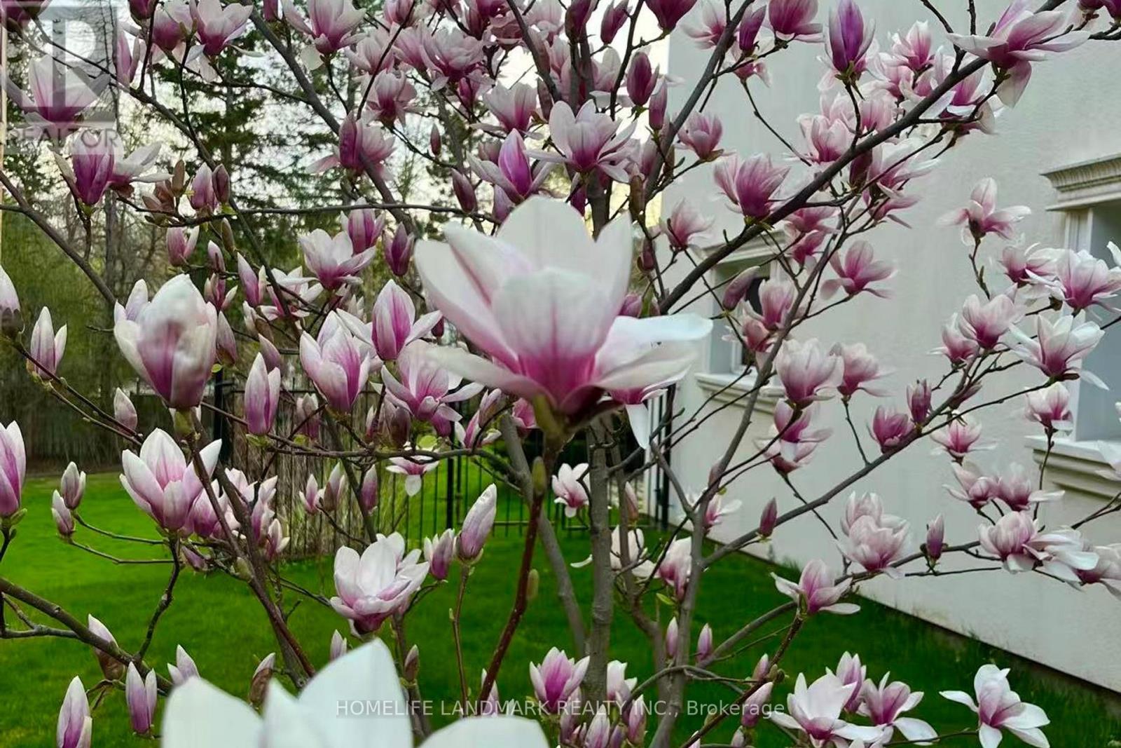 8 Prescott Court, Markham, Ontario  L3T 5W7 - Photo 46 - N12939316