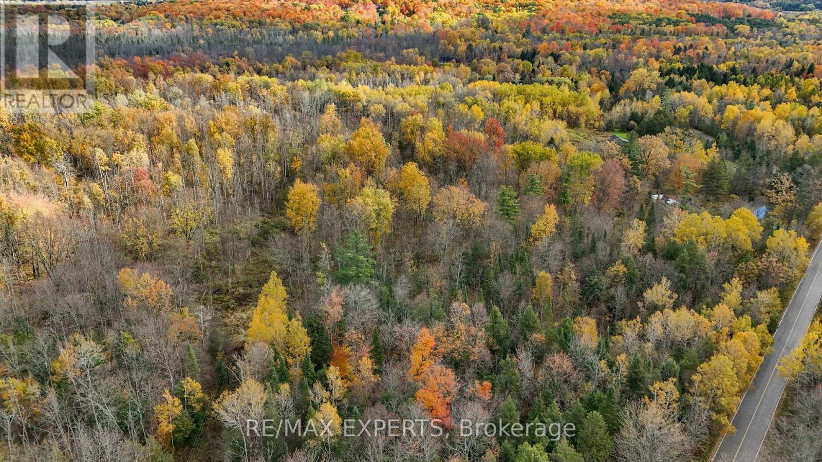 4530 19th Side Road, King, Ontario  L0G 1J0 - Photo 12 - N12939388