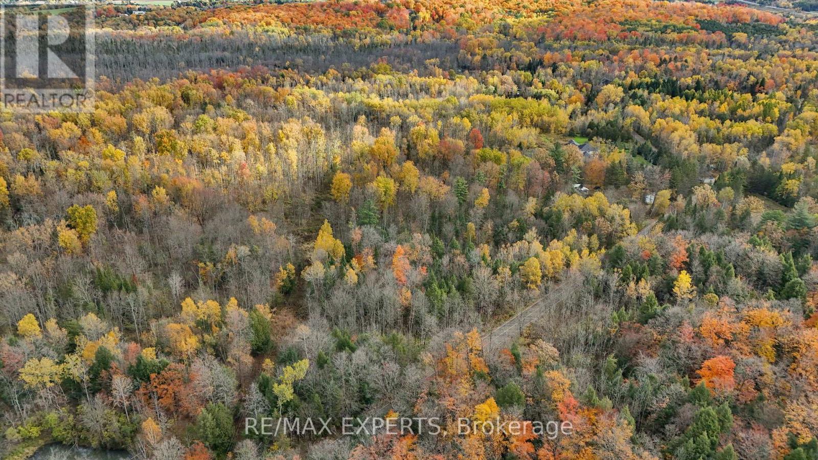 4530 19th Side Road, King, Ontario  L0G 1J0 - Photo 13 - N12939388