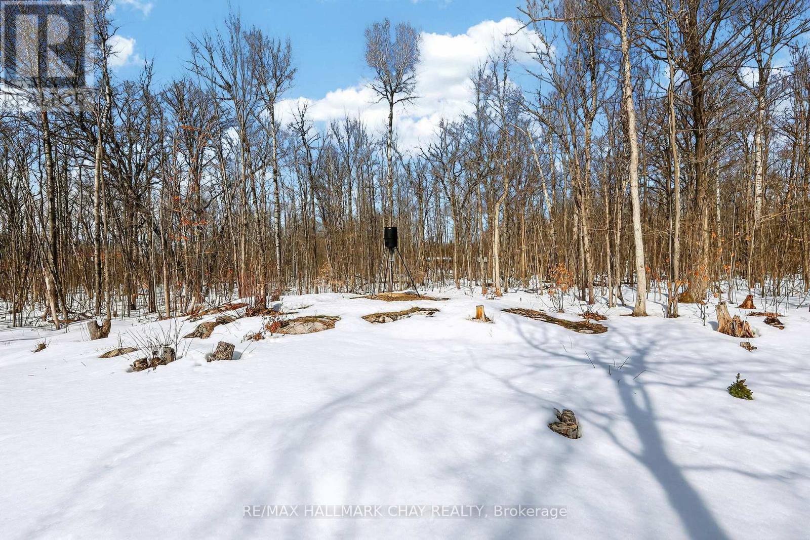 100 Gerhardt Road, Tay, Ontario  L0K 2C0 - Photo 47 - S12939294