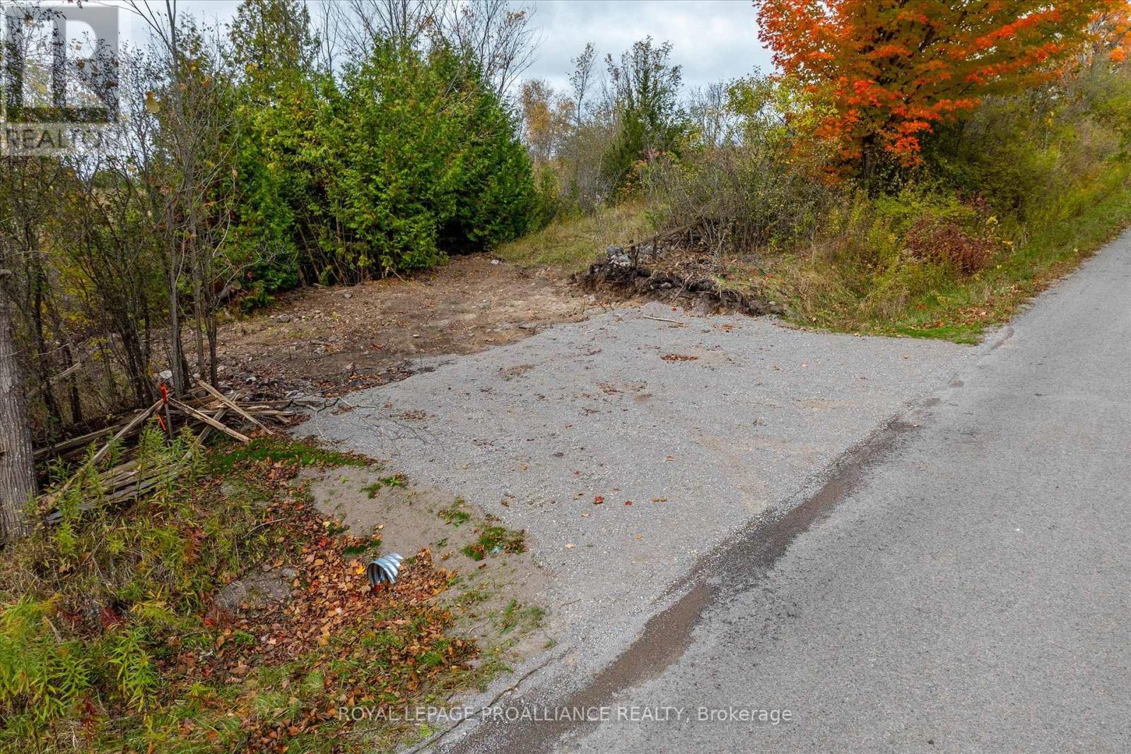 Lot Centre Line, Selwyn, Ontario K0L 2H0 - Photo 20 - X12939708