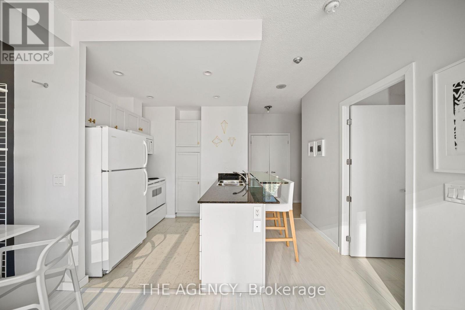 3313 - 208 Queens Quay W, Toronto, Ontario  M5J 2Y5 - Photo 3 - C12939532