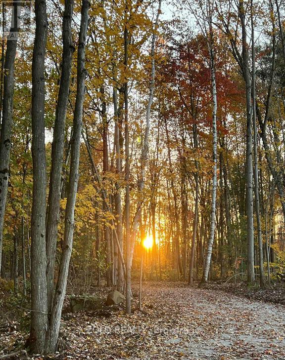 3172 Searidge Street, Severn, Ontario  L3V 8R1 - Photo 26 - S12939528