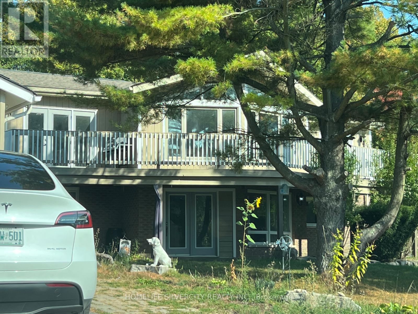 236 Rutherford Road, Alnwick/haldimand, Ontario  K0K 1S0 - Photo 3 - X12939688