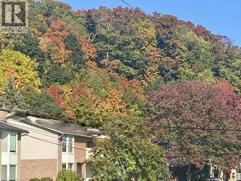 199 Kimberly Drive, Hamilton, Ontario  L8K 4L2 - Photo 48 - 40787861