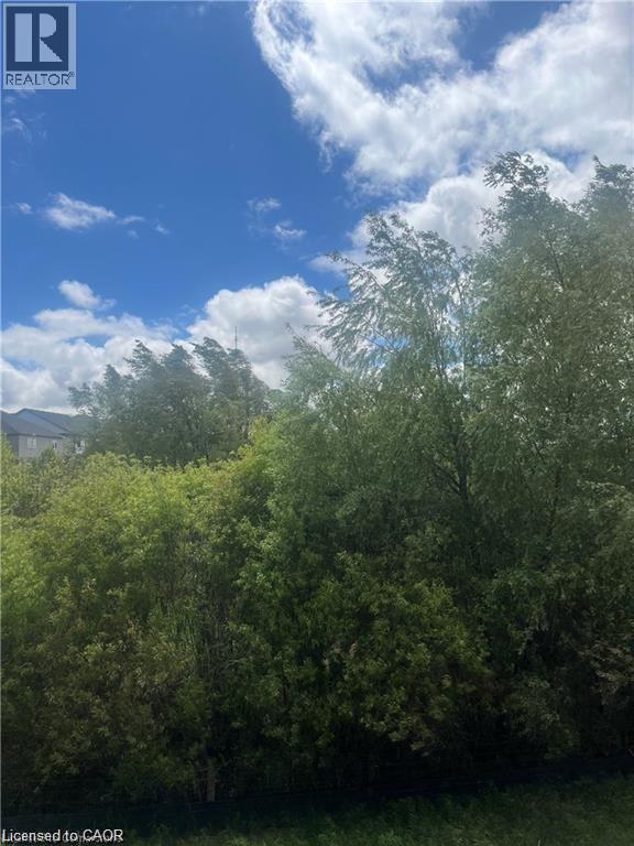 255 Ladyslipper Drive, Waterloo, Ontario  N2V 0C3 - Photo 15 - 40801271