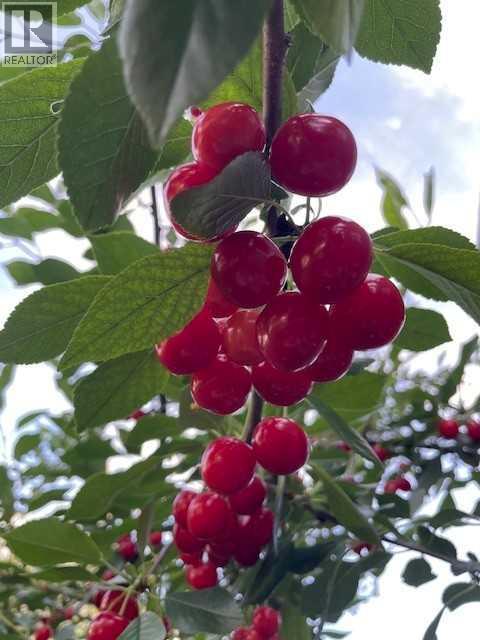 1711 27 Street SW, Calgary, Alberta  T3C 1L6 - Photo 27 - A2295209