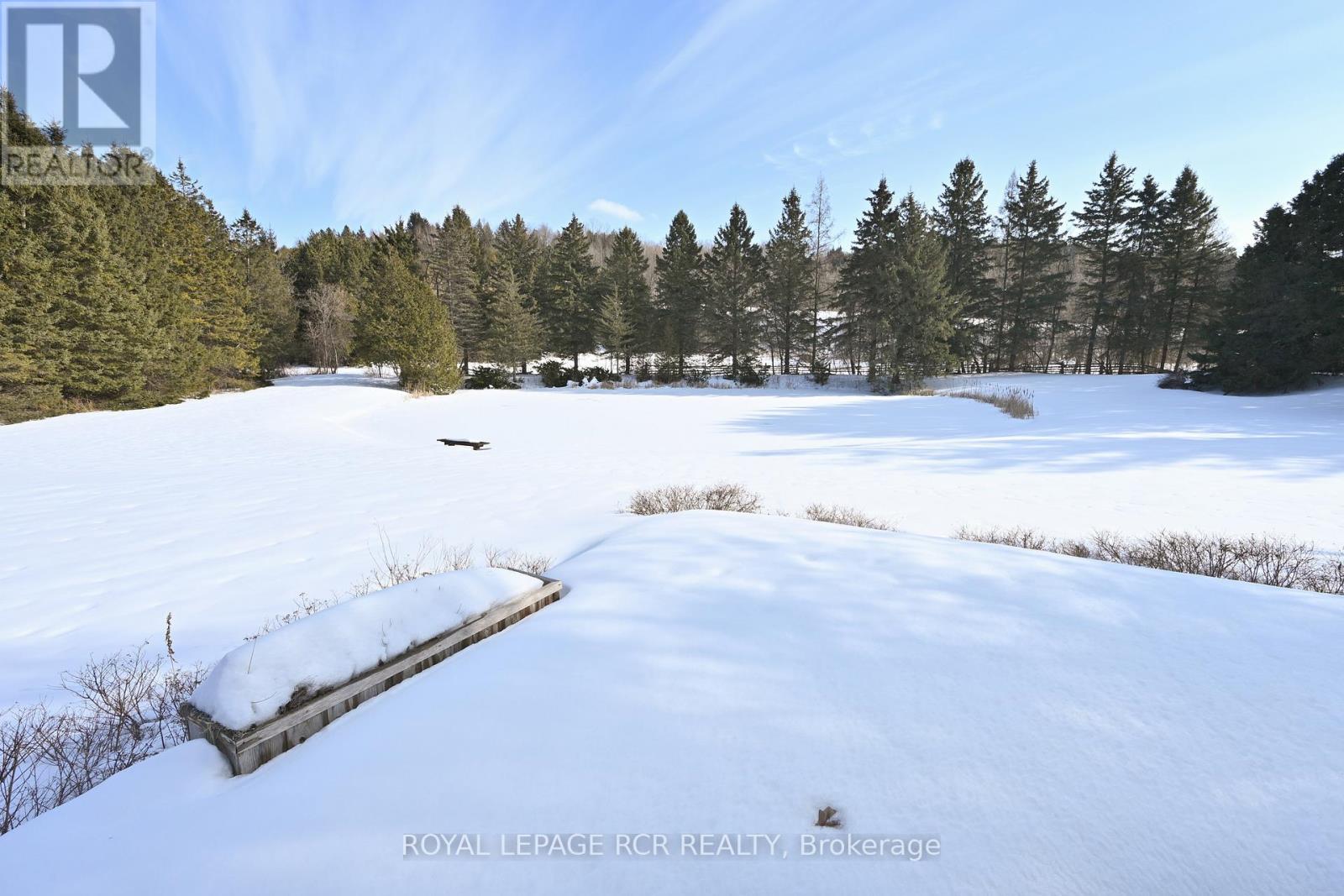 2863 Concession Rd 3, Adjala-Tosorontio, Ontario  L0N 1P0 - Photo 41 - N12839524