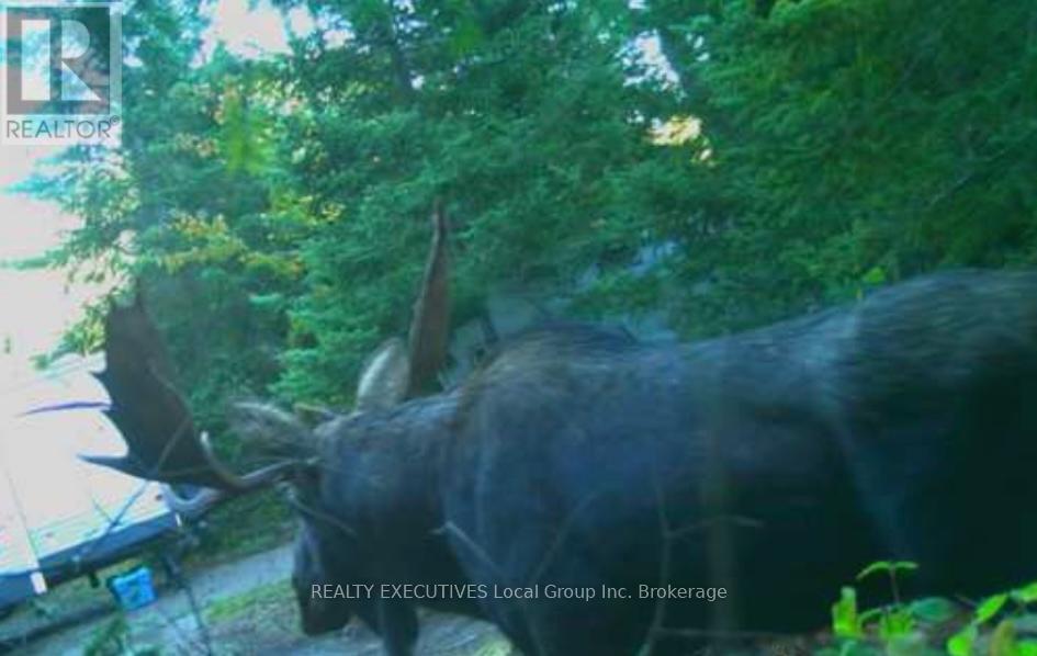 71 Black Creek Road N, Nipissing, Ontario  P0H 1W0 - Photo 17 - X12939798