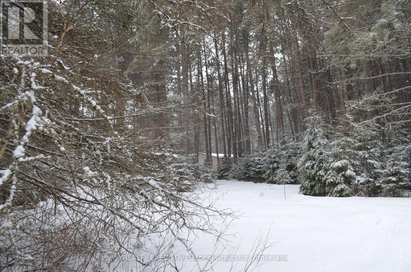 71 Black Creek Road N, Nipissing, Ontario  P0H 1W0 - Photo 2 - X12939798