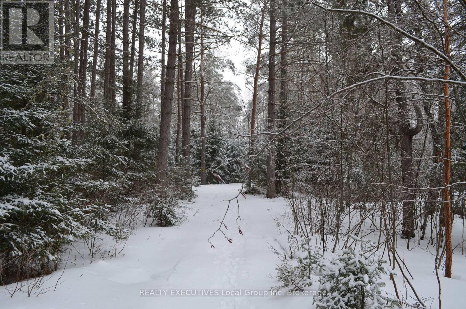 71 Black Creek Road N, Nipissing, Ontario  P0H 1W0 - Photo 32 - X12939798
