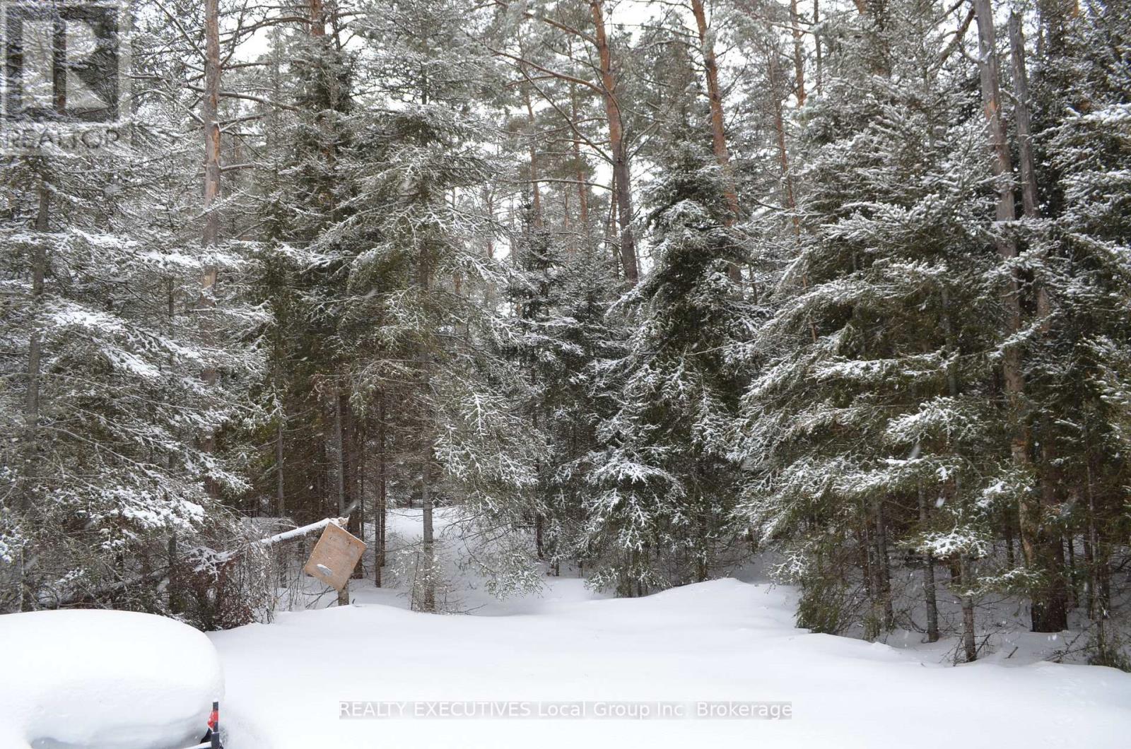 71 Black Creek Road N, Nipissing, Ontario  P0H 1W0 - Photo 34 - X12939798