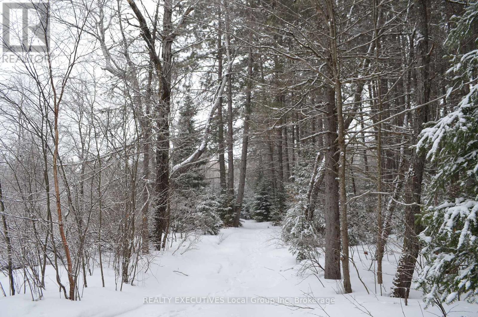 71 Black Creek Road N, Nipissing, Ontario  P0H 1W0 - Photo 35 - X12939798