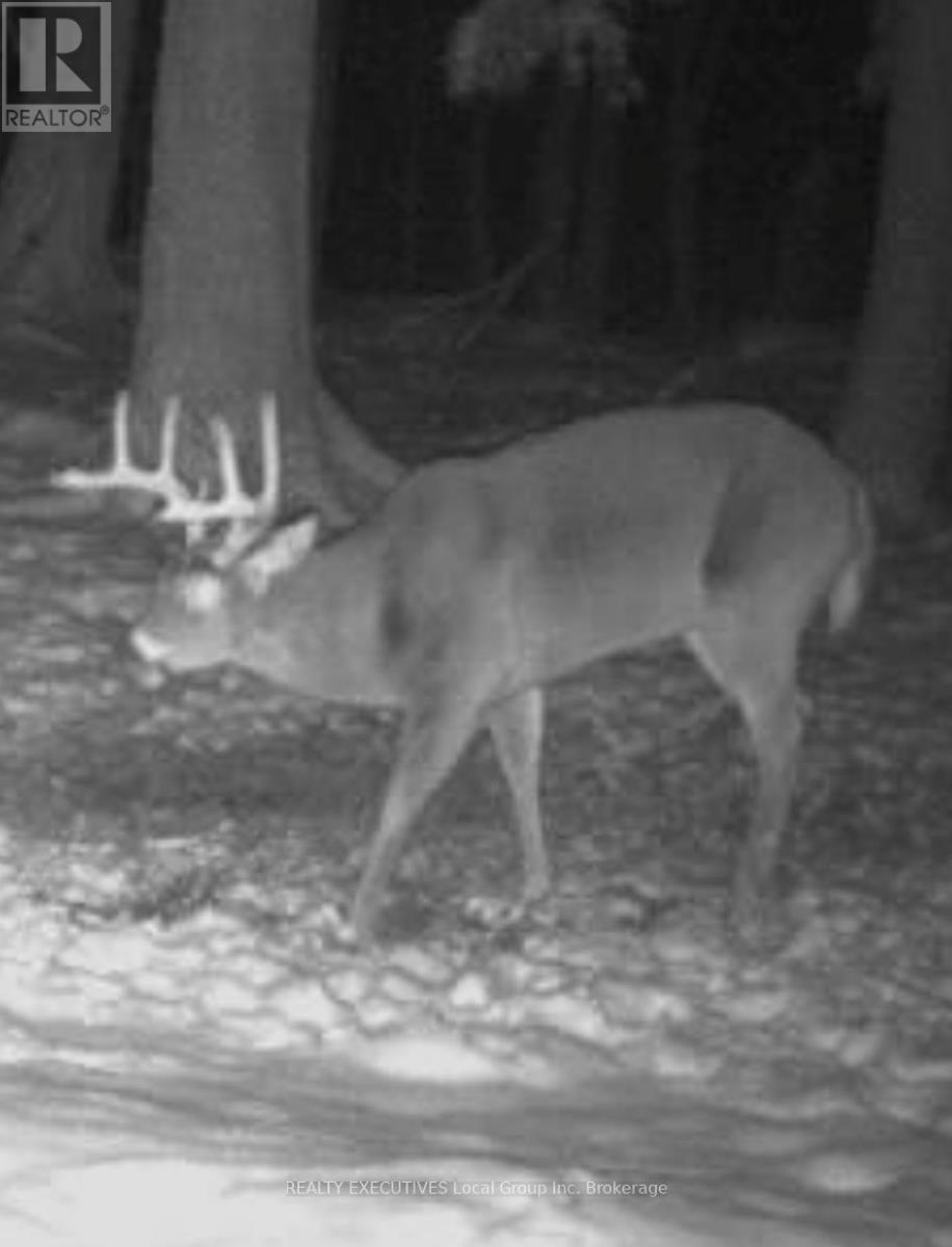 71 Black Creek Road N, Nipissing, Ontario  P0H 1W0 - Photo 36 - X12939798