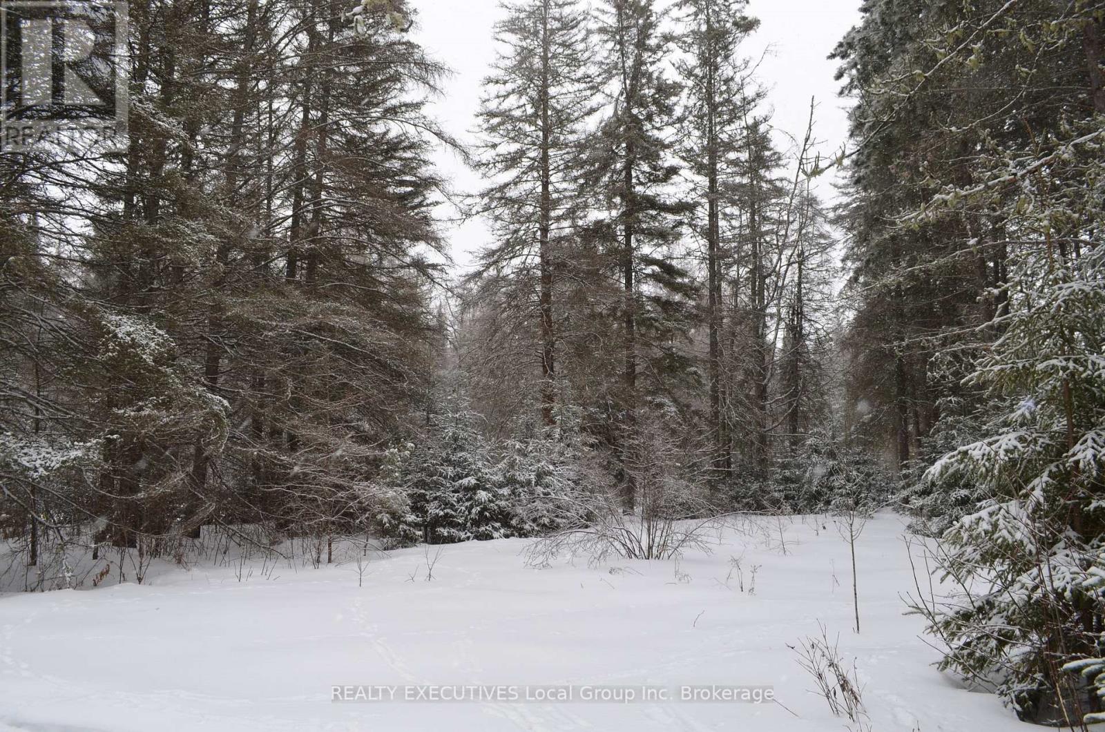 71 Black Creek Road N, Nipissing, Ontario  P0H 1W0 - Photo 37 - X12939798