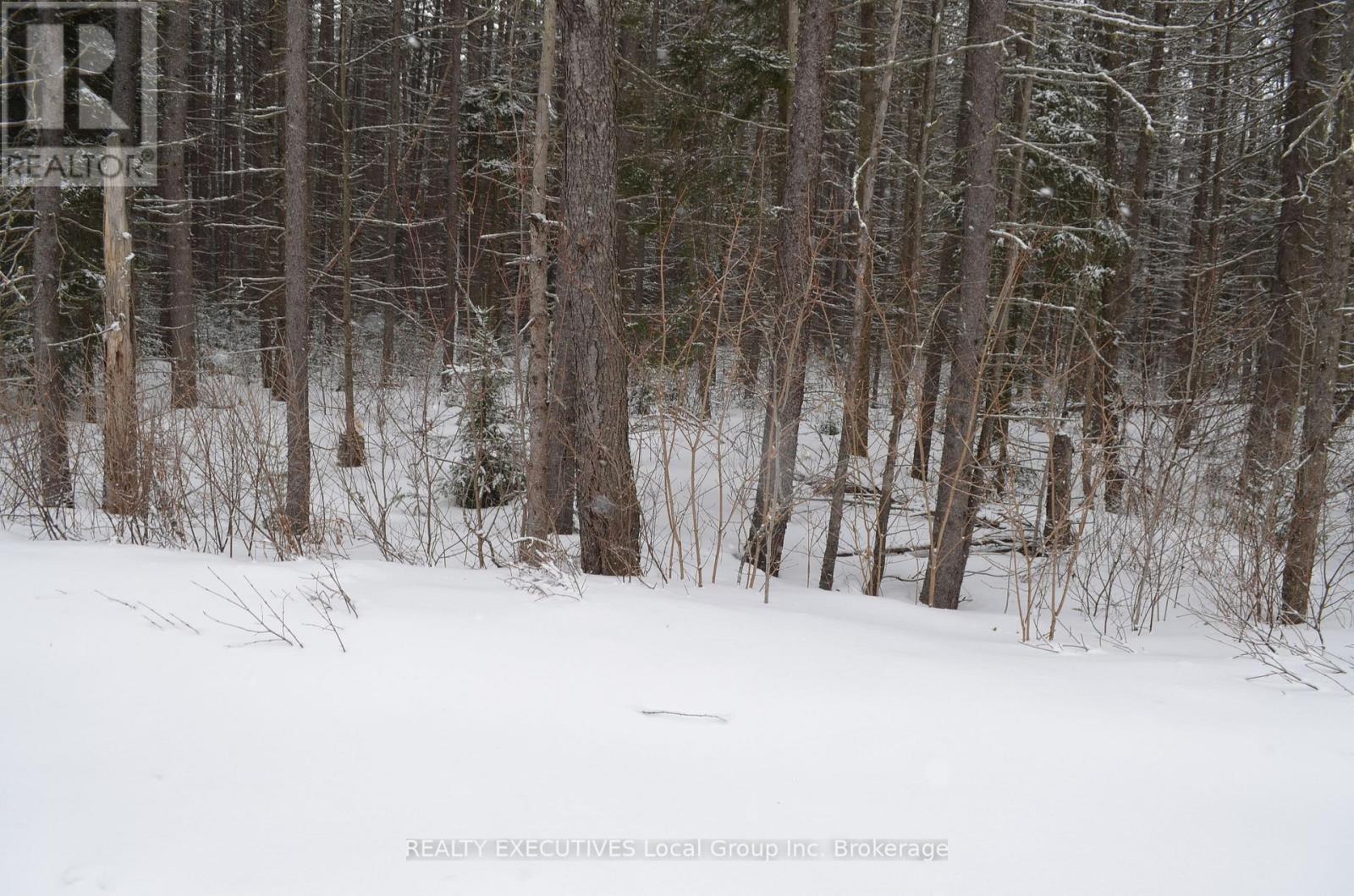 71 Black Creek Road N, Nipissing, Ontario  P0H 1W0 - Photo 40 - X12939798