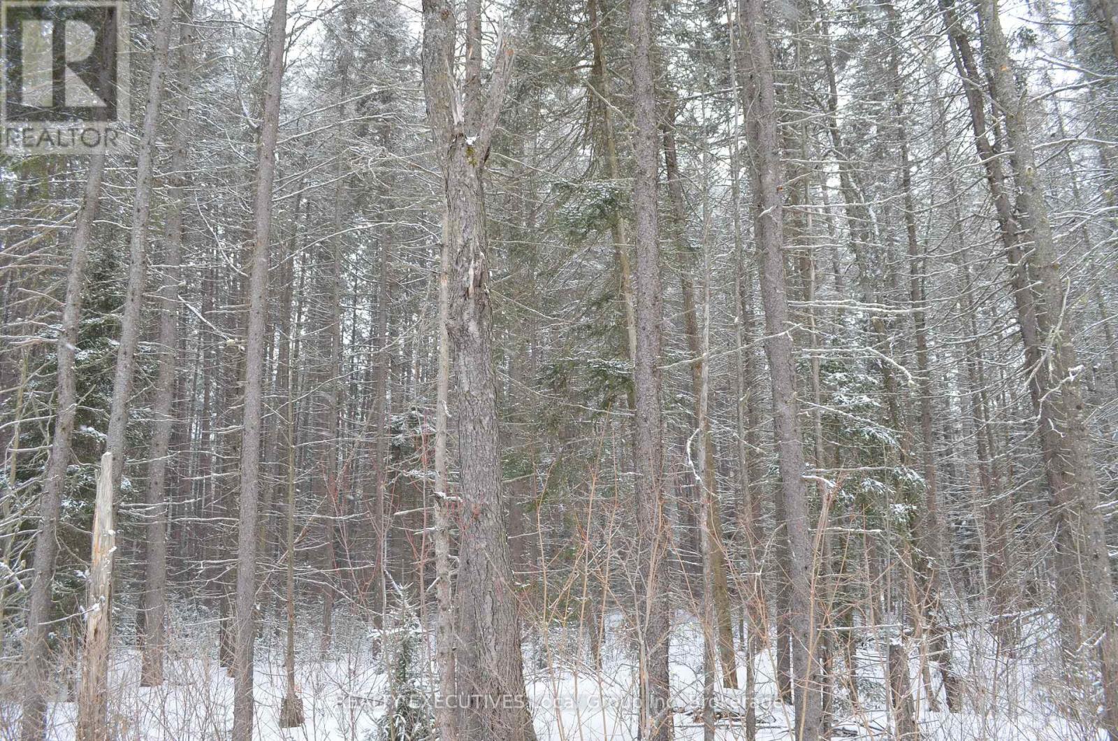 71 Black Creek Road N, Nipissing, Ontario  P0H 1W0 - Photo 41 - X12939798