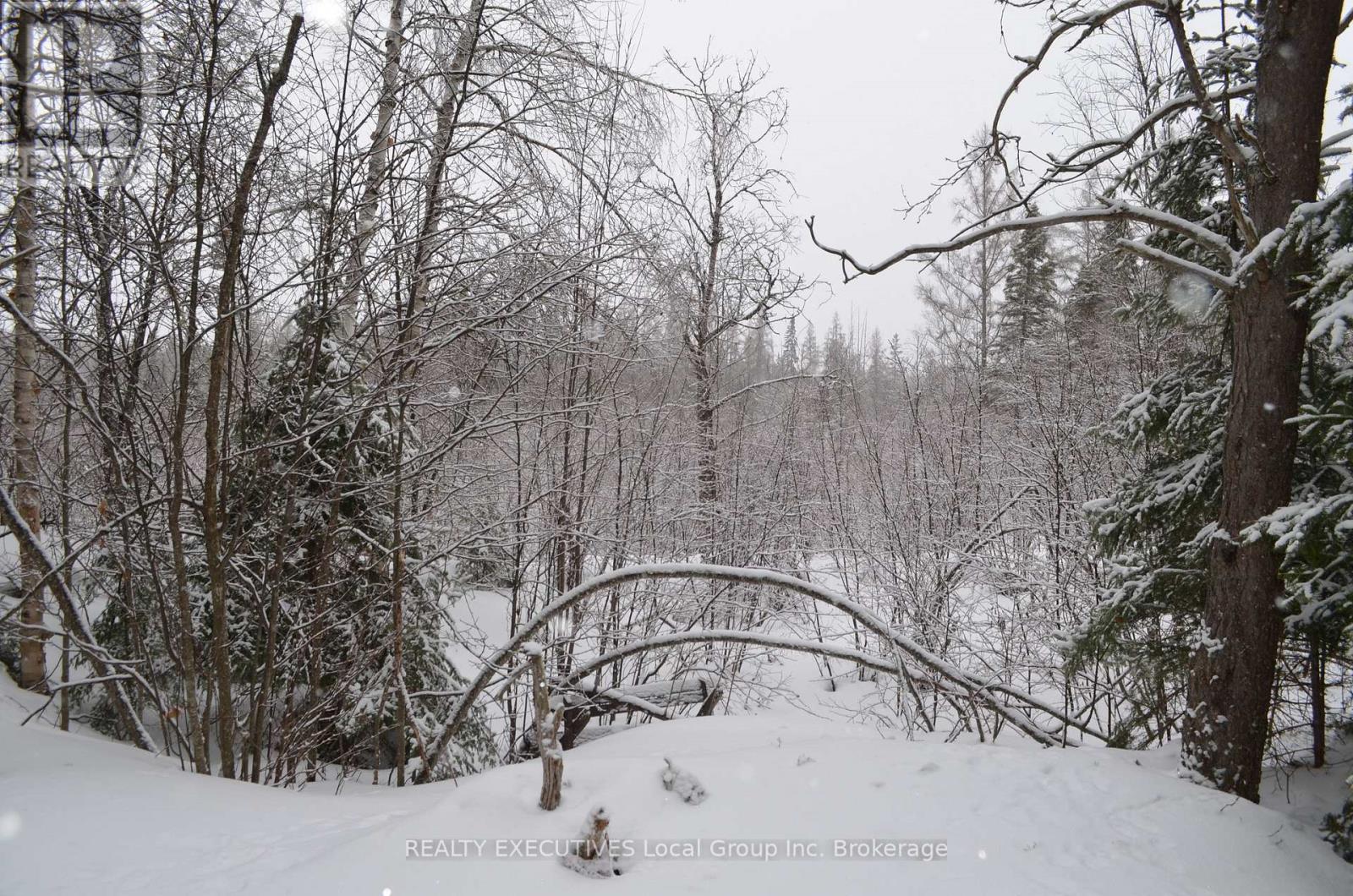 71 Black Creek Road N, Nipissing, Ontario  P0H 1W0 - Photo 9 - X12939798