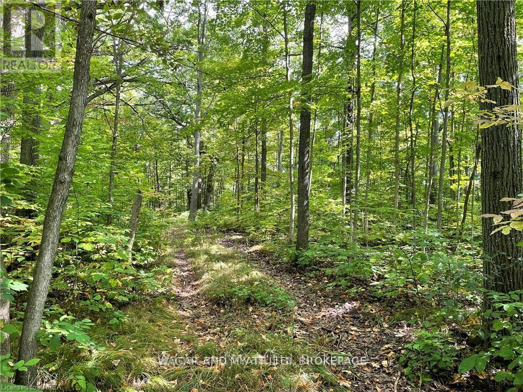 .. Bridge Street W, Greater Napanee, Ontario  K7R 3L1 - Photo 2 - X12939898