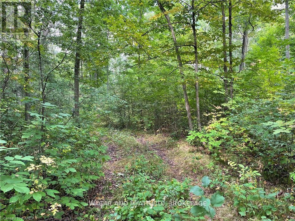 .. Bridge Street W, Greater Napanee, Ontario  K7R 3L1 - Photo 3 - X12939898