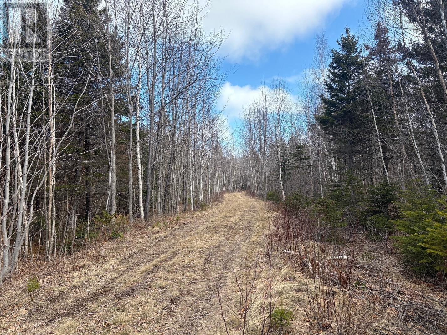 Lot 9 Longley Mountain Road, Youngs Cove, Nova Scotia  B0S 1L0 - Photo 11 - 202605842