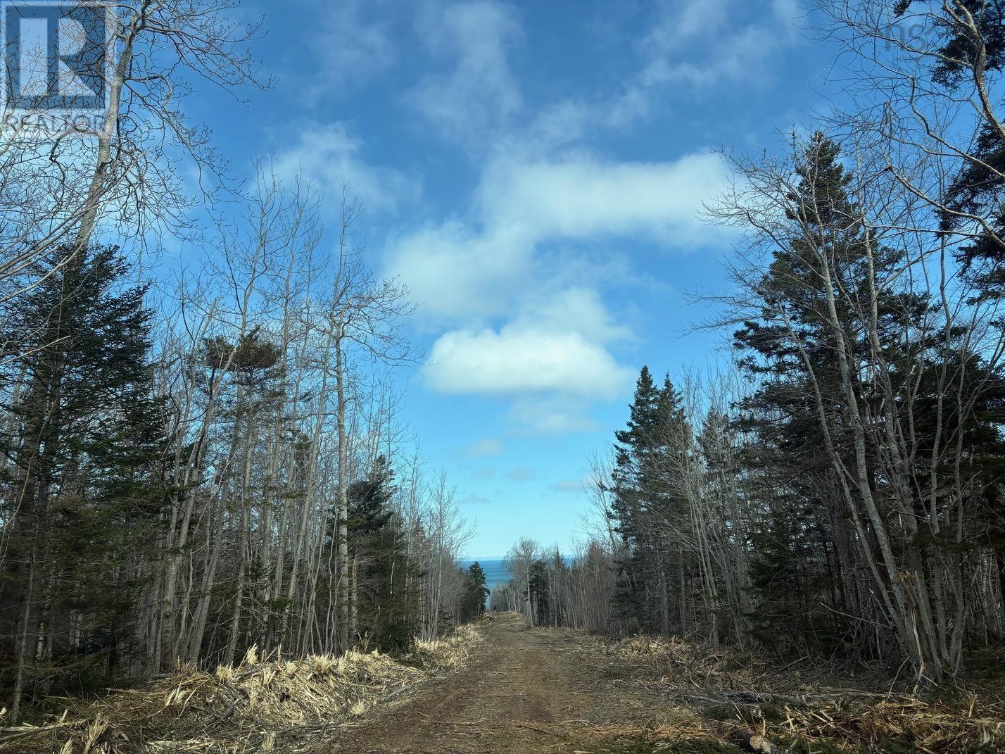 Lot 9 Longley Mountain Road, Youngs Cove, Nova Scotia  B0S 1L0 - Photo 15 - 202605842