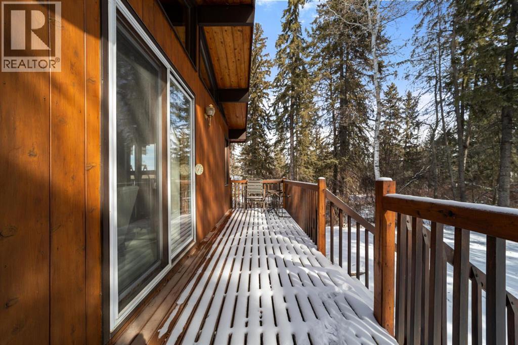 21078 Township Road 461, Rural Camrose County, Alberta  T0B 3L0 - Photo 34 - A2297567