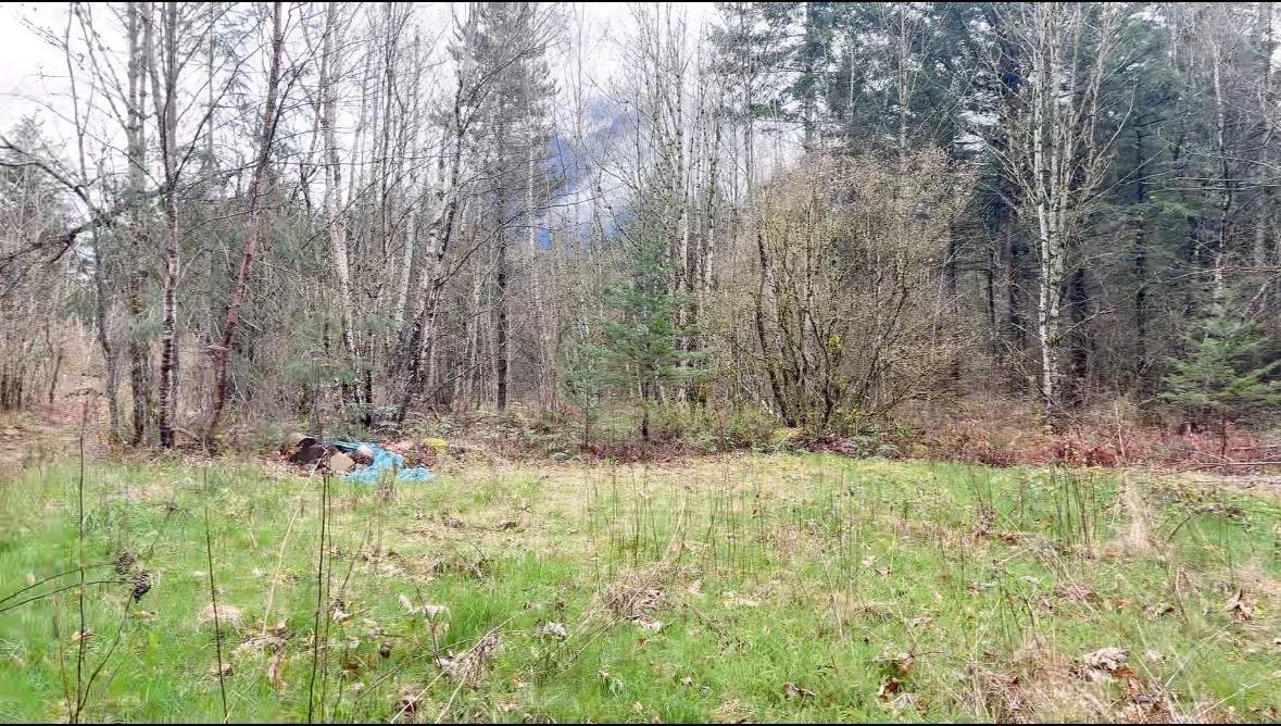 21437 Haig Station Road, Hope, Hope, British Columbia  V0X 1L3 - Photo 12 - R3105306