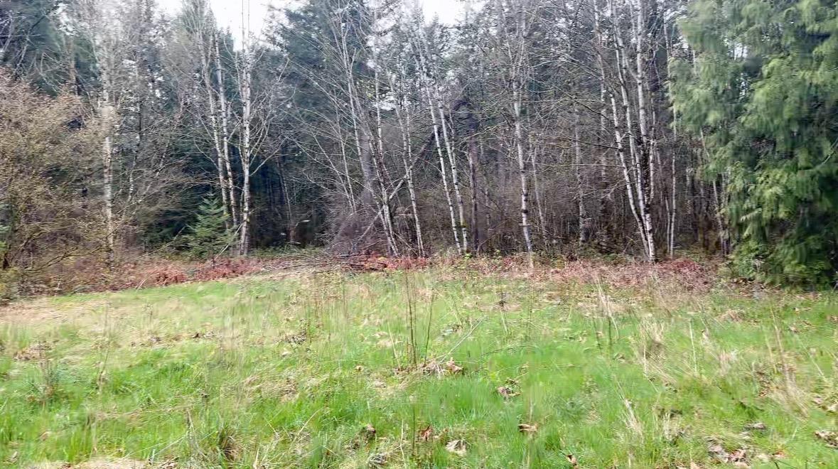 21437 Haig Station Road, Hope, Hope, British Columbia  V0X 1L3 - Photo 13 - R3105306