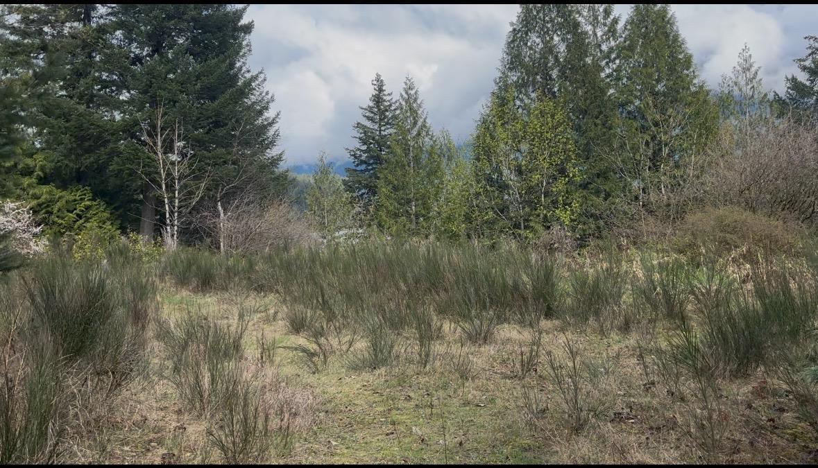 21437 Haig Station Road, Hope, Hope, British Columbia  V0X 1L3 - Photo 15 - R3105306