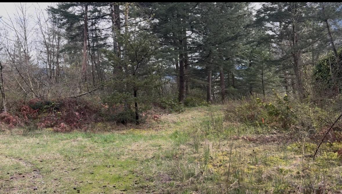 21437 Haig Station Road, Hope, Hope, British Columbia  V0X 1L3 - Photo 16 - R3105306