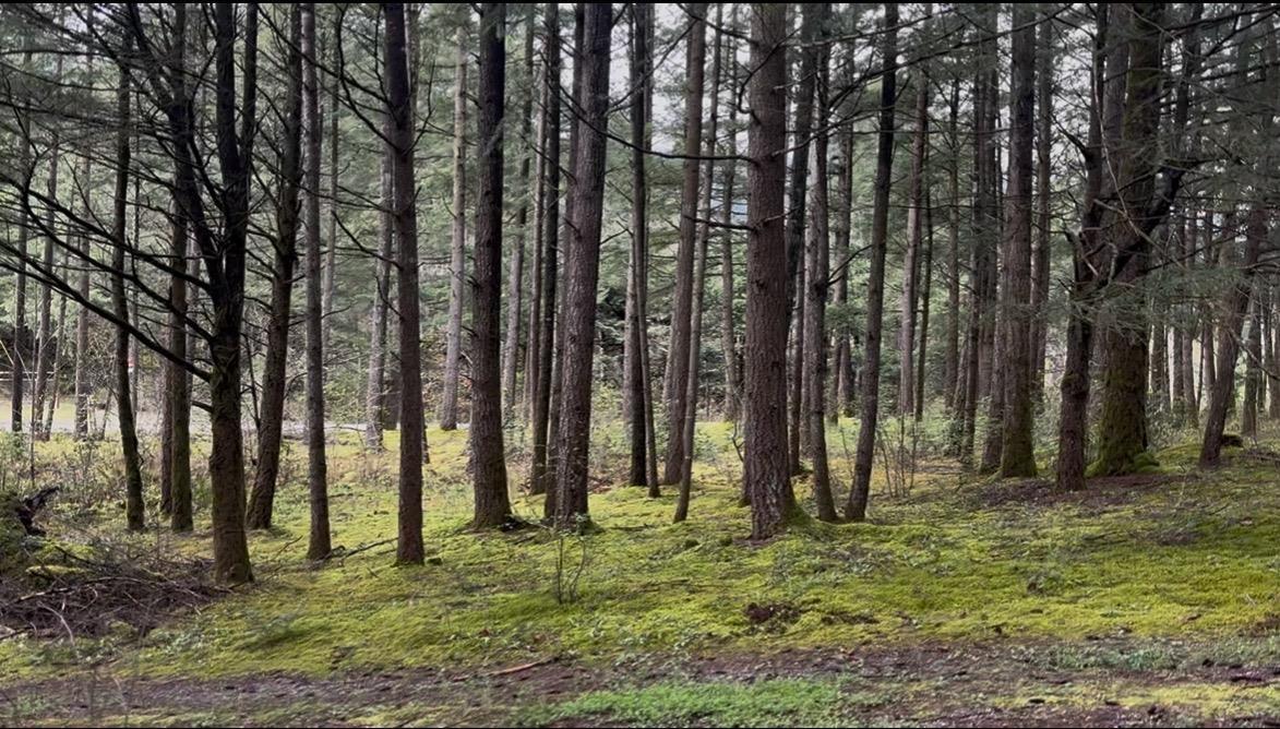 21437 Haig Station Road, Hope, Hope, British Columbia  V0X 1L3 - Photo 17 - R3105306