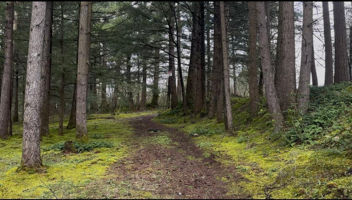 21437 Haig Station Road, Hope, Hope, British Columbia  V0X 1L3 - Photo 18 - R3105306