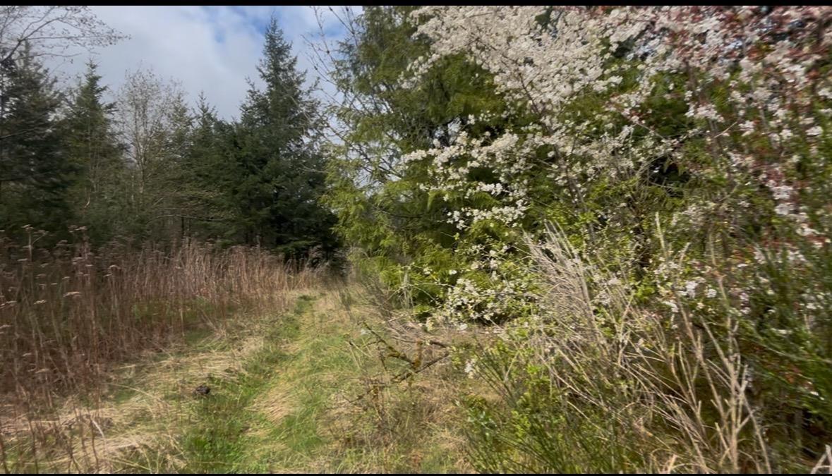 21437 Haig Station Road, Hope, Hope, British Columbia  V0X 1L3 - Photo 20 - R3105306