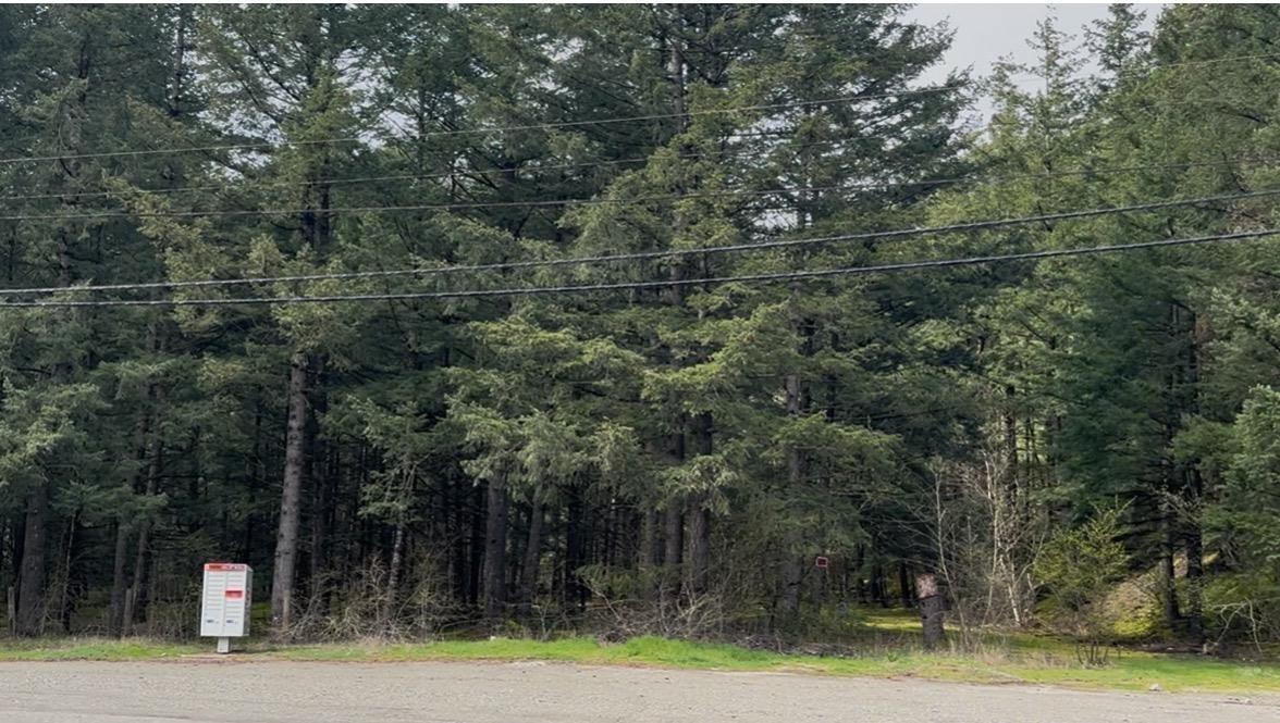 21437 Haig Station Road, Hope, Hope, British Columbia  V0X 1L3 - Photo 6 - R3105306