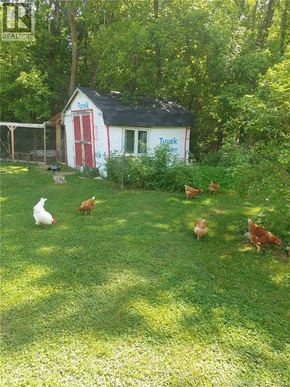 10105 Route 105, Beechwood, New Brunswick  E7J 2A5 - Photo 29 - NB136146