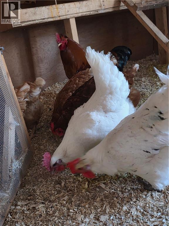 10105 Route 105, Beechwood, New Brunswick  E7J 2A5 - Photo 37 - NB136146