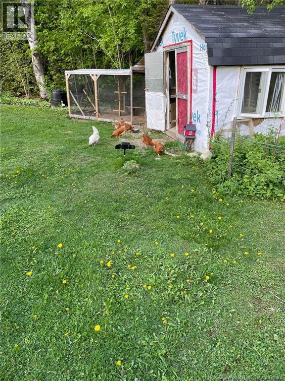 10105 Route 105, Beechwood, New Brunswick  E7J 2A5 - Photo 40 - NB136146