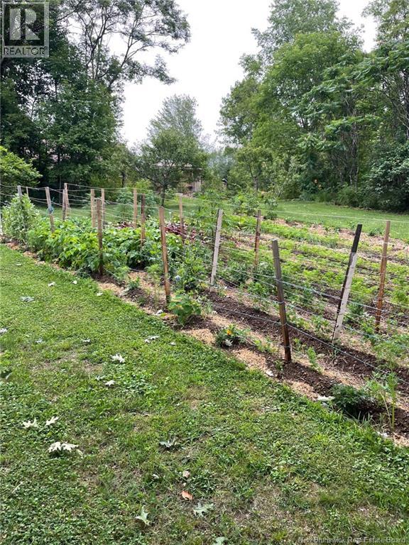 10105 Route 105, Beechwood, New Brunswick  E7J 2A5 - Photo 42 - NB136146