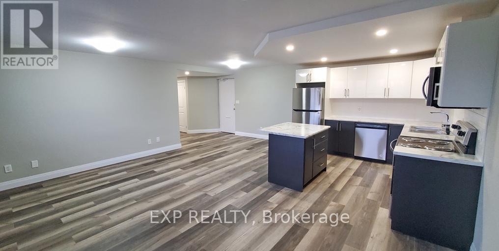 516 - 375 Scott Street, St. Catharines, Ontario  L2M 3W3 - Photo 3 - X12940004