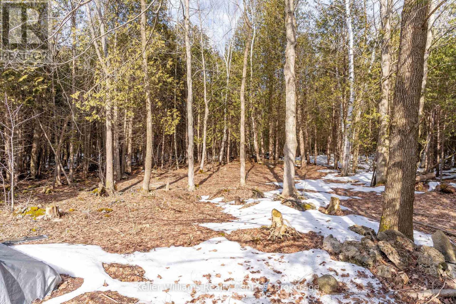 361063 Concession 16, Georgian Bluffs, Ontario  N0H 2T0 - Photo 47 - X12940032