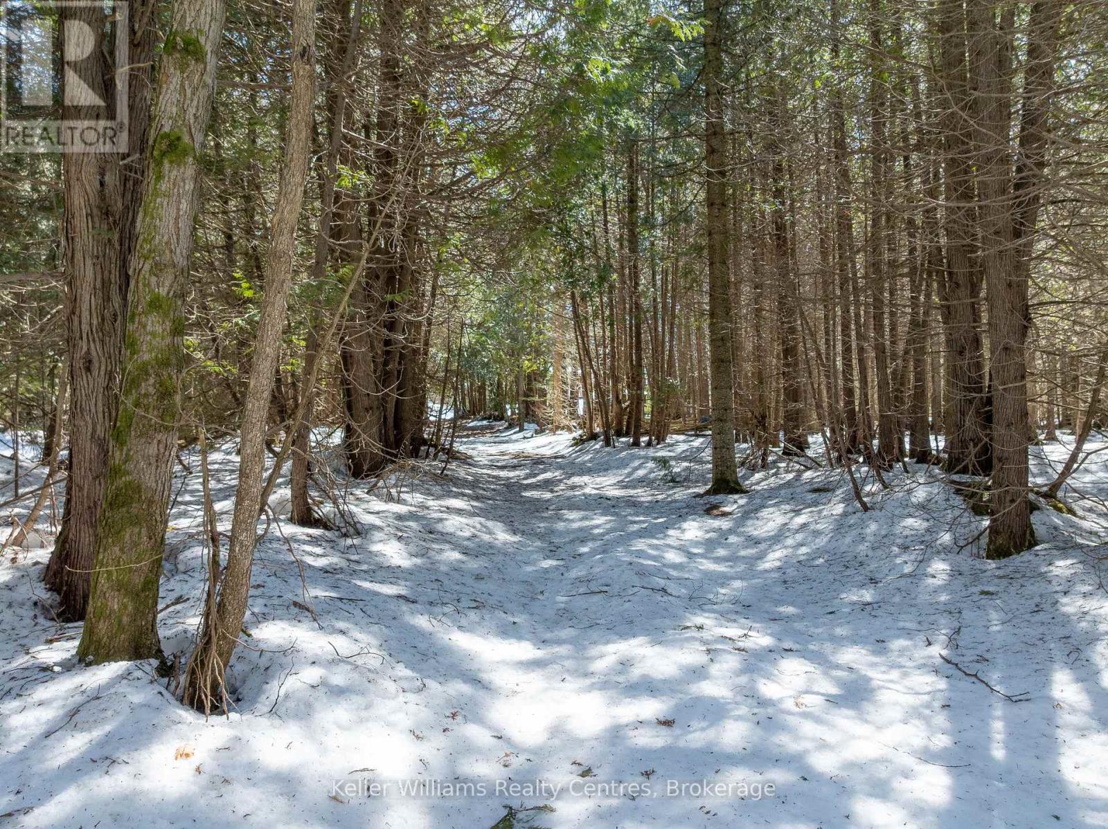 361063 Concession 16, Georgian Bluffs, Ontario  N0H 2T0 - Photo 48 - X12940032