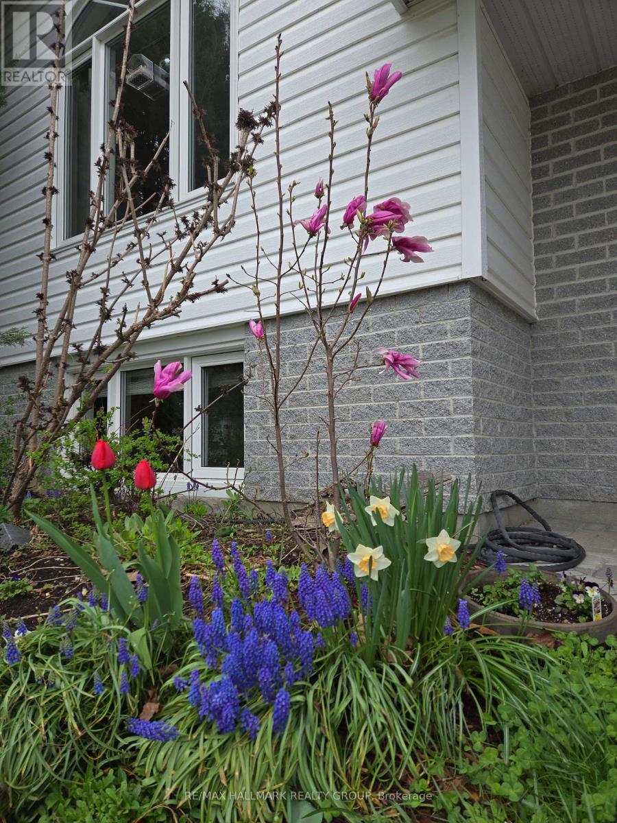 156 Charles Street, Arnprior, Ontario  K7S 1A7 - Photo 39 - X12936882