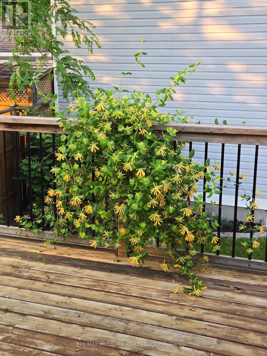 156 Charles Street, Arnprior, Ontario  K7S 1A7 - Photo 41 - X12936882