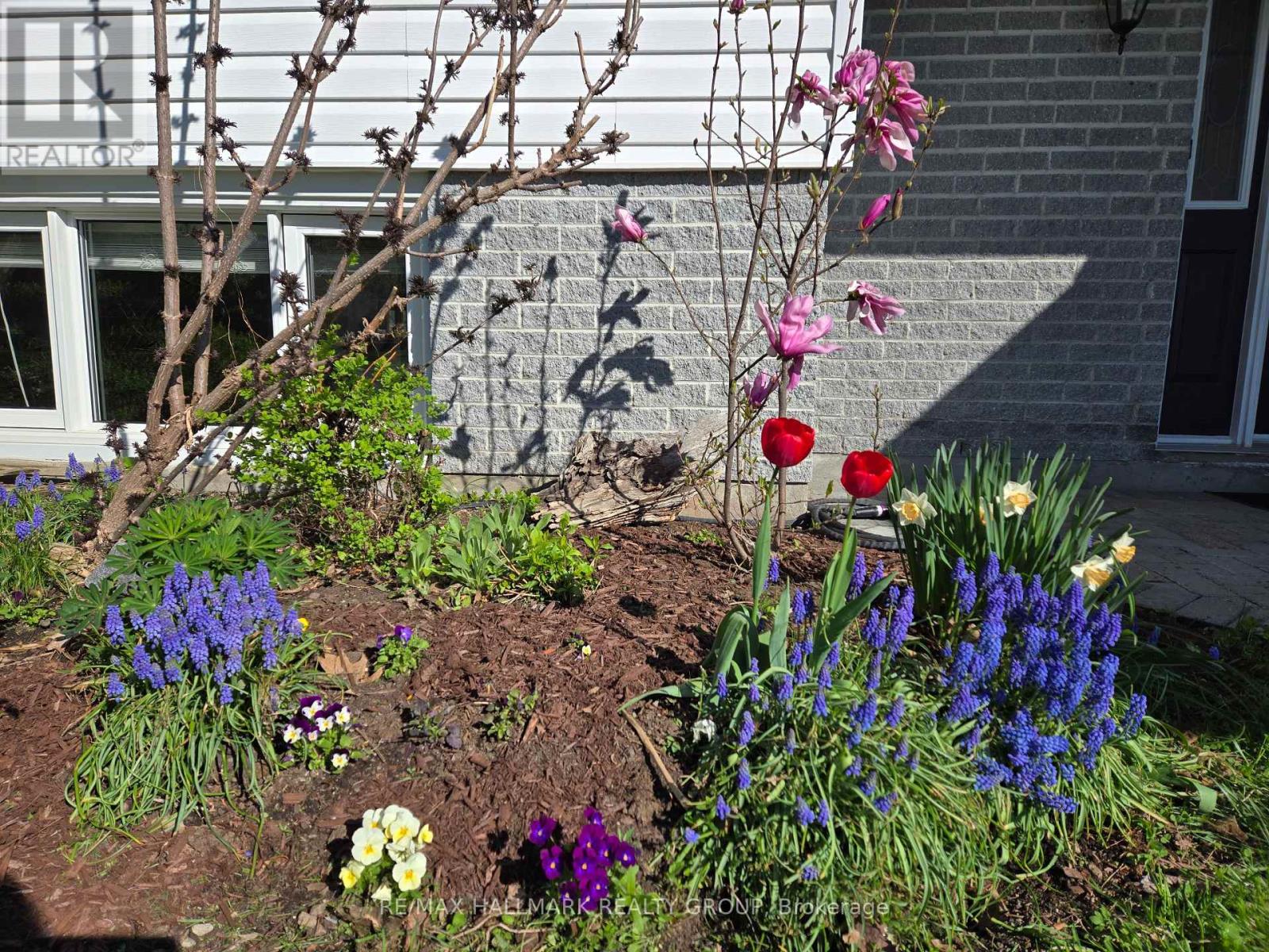 156 Charles Street, Arnprior, Ontario  K7S 1A7 - Photo 40 - X12936882